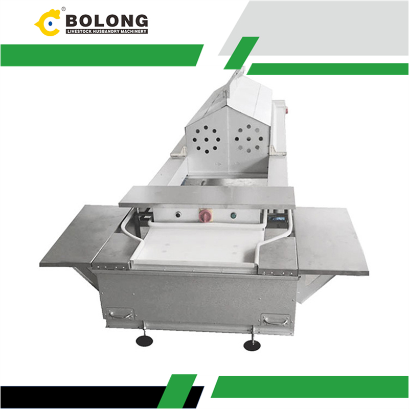 chicken Egg Gathering System supplier